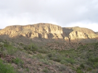 Morning light on the ridge